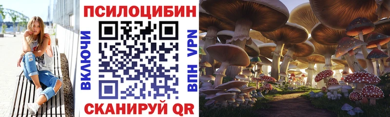 Псилоцибиновые грибы Magic Shrooms Грязи